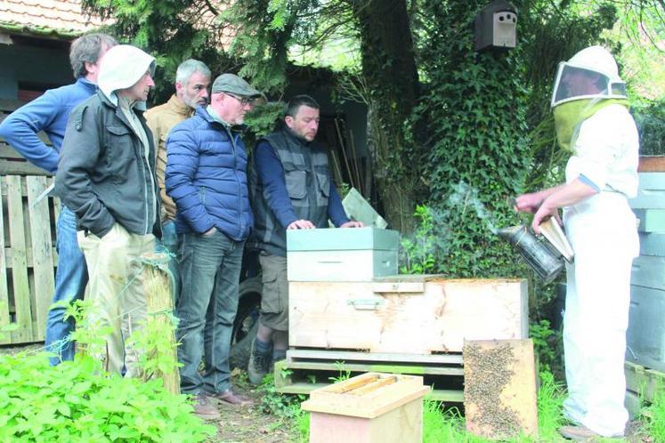 Producteur de miel - le métier d'apiculteur en France.