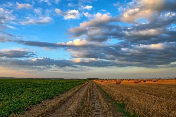 L’enveloppe supplémentaire annoncée devrait d’abord profiter à la transition verte du secteur agricole.