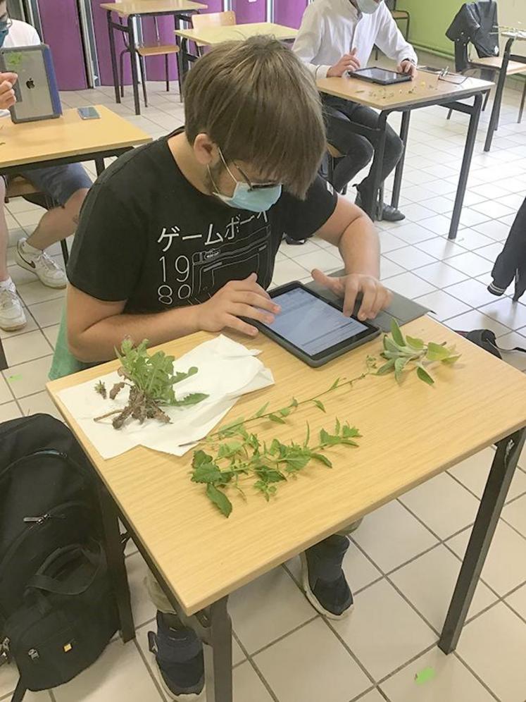 Les cours ont repris «progressivement» dans les lycées agricoles de la Somme.