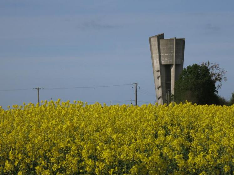 Avec l’importation massive d’huile de palme pour en faire des biocarburants, c’est toute la filière colza industriel qui est menacée.