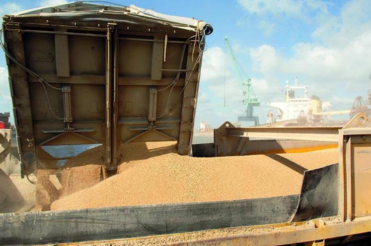 Il manque 30 euros la tonne de blé pour atteindre le seuil de rentabilité.