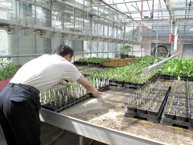 D’après le délégué régional de l’Apecita Bertrand Delesalle, «toute la filière végétale recrute, à différents niveaux. Il y a beaucoup d’offres d’emploi à pourvoir, 
que ce soit dans la recherche, le développement, l’innovation, etc.»