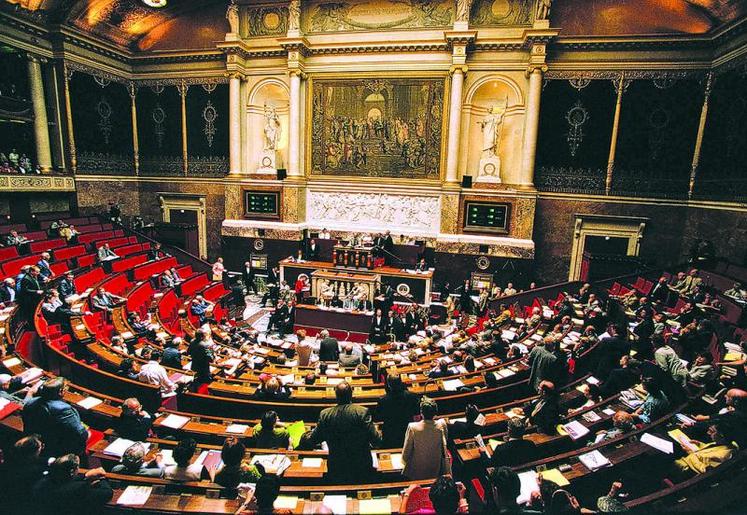 L’Assemblée nationale a débattu longuement sur l’origine des crises porcine, bovine et du lait.