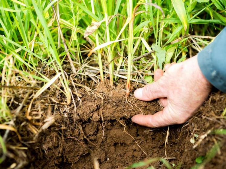 Les techniques culturales pour préserver les sols sont déjà bien expérimentées dans le secteur.