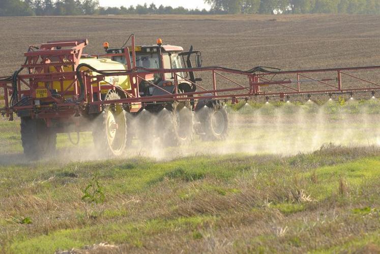 Le débat sur la prolongation du glyphosate étant tranché, «nous avons cinq ans pour travailler avec les agriculteurs, avec les scientifiques», a déclaré le ministre de l’Agriculture.