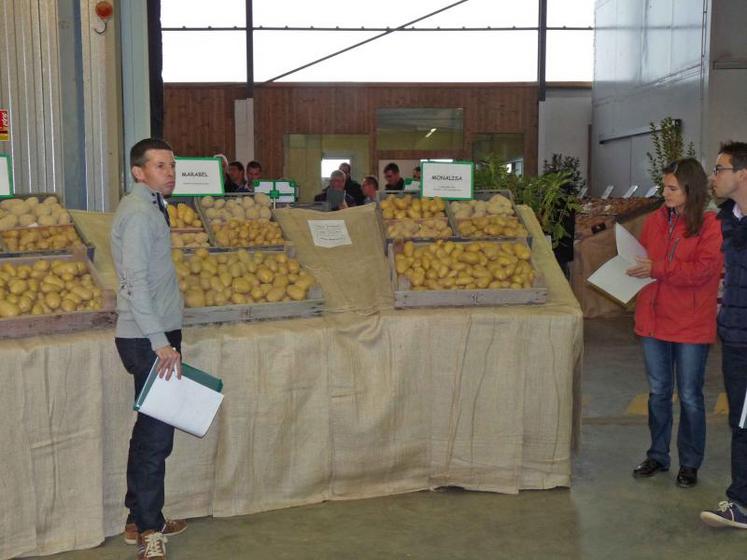 Présentation des hybrides pommes de terre de consommation chair ferme avec Jean-Denis Moal, sélectionneur au Comité Nord Plants.