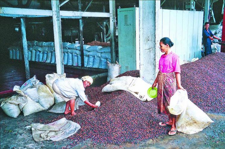 L'huile de palme (ici une photo d'usine de triage datant de 2001) tire les prix alimentaires vers le haut.