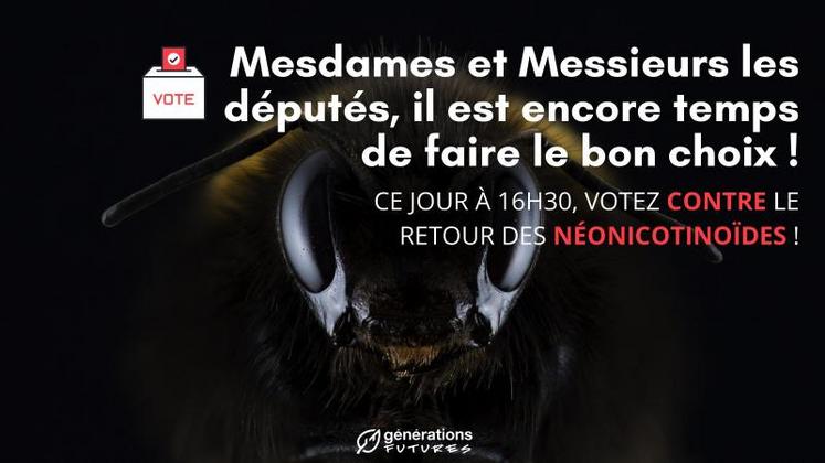 En utilisant la menace de disparition des abeilles par l'utilisation des néonicotinoïdes, Générations Futures espère faire mouche.
