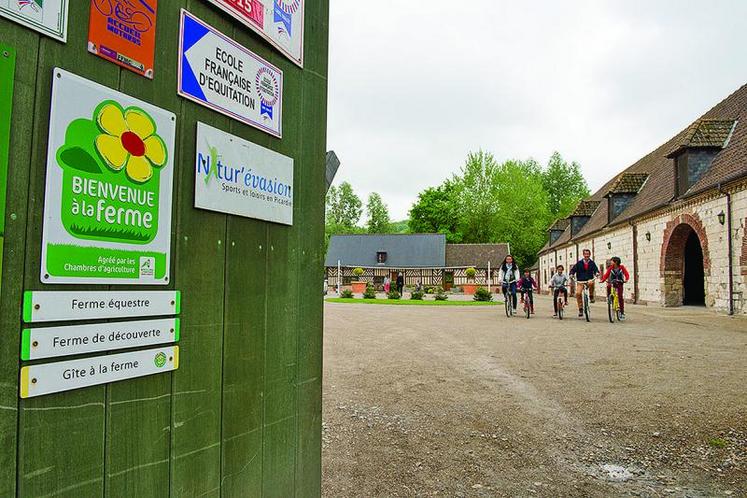 Bienvenue à la Ferme, dans la Somme, ce sont 81 adhérents et 108 prestations proposées.