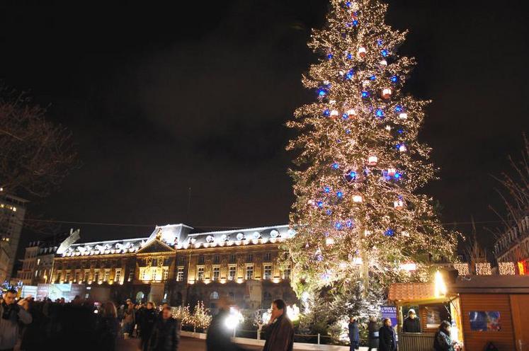Les sapins de Noël naturels ont la cote (ici en Alsace).