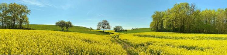 Dans la Somme, 626 g équivalent CO2 sont nécessaires pour produire 1 kg de graines de colza. Des coopérateurs NatUp ont pour objectif de réduire très largement cet impact.