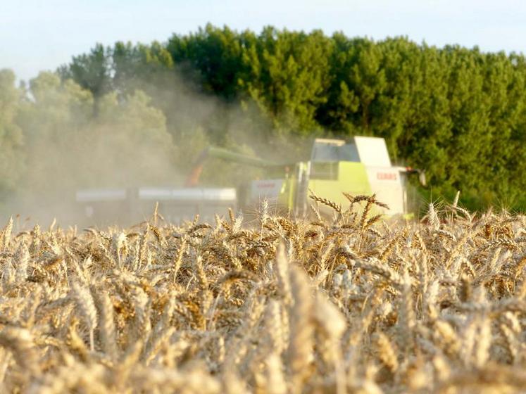 Les bonnes récoltes ne sont pas une exception française, et la plupart des grandes zones céréalières ont aussi de grandes disponibilités qui font pression sur les cours mondiaux, même si la demande continue à croître.