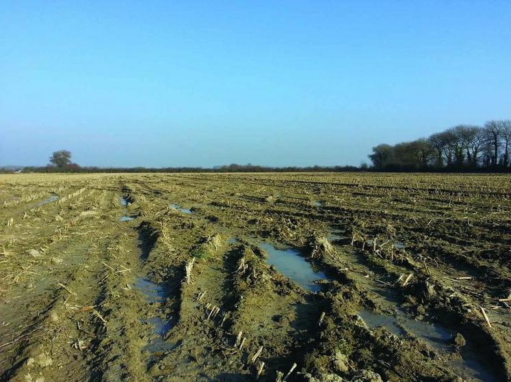 30 à 40% des surfaces prévues en blé n’étaient pas encore semées dans les Bas champs.