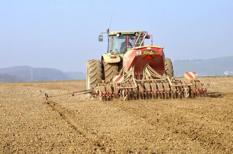 La qualité du semis et le choix de la date vont conditionner le rendement.