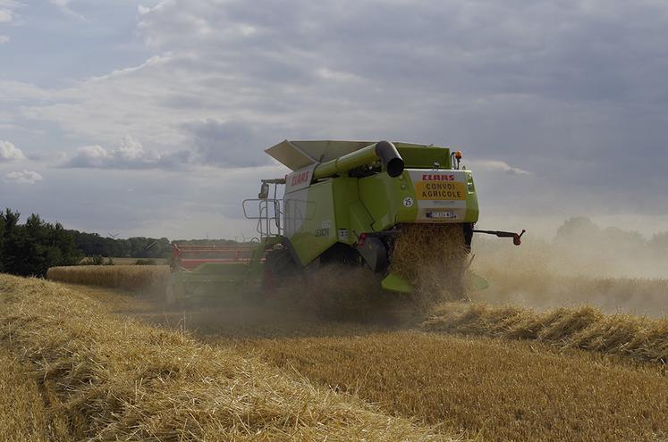 Fin de semaine dernière, du colza et quelques rares parcelles de blé ont pu être récoltées sous un ciel couvert. 