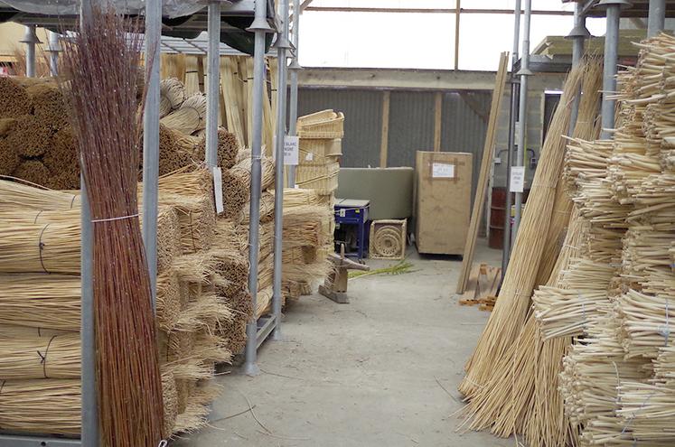 Jusqu’à aujourd’hui, la vannerie est contrainte d’importer la matière première d’Espagne et du Chili, à des prix de plus en plus élevés. 