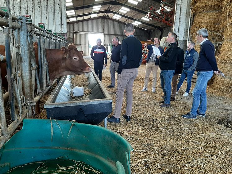 Au sein de la section Nord-Picardie, les chiffres sont plutôt bons puisque cette dernière compte 29 adhérents sur la campagne écoulée, soit deux de plus. En nombre de vaches cotisantes, la section est toutefois en recul (757), comme on le constate au sein des sections qui concentrent le plus grand effectif. 