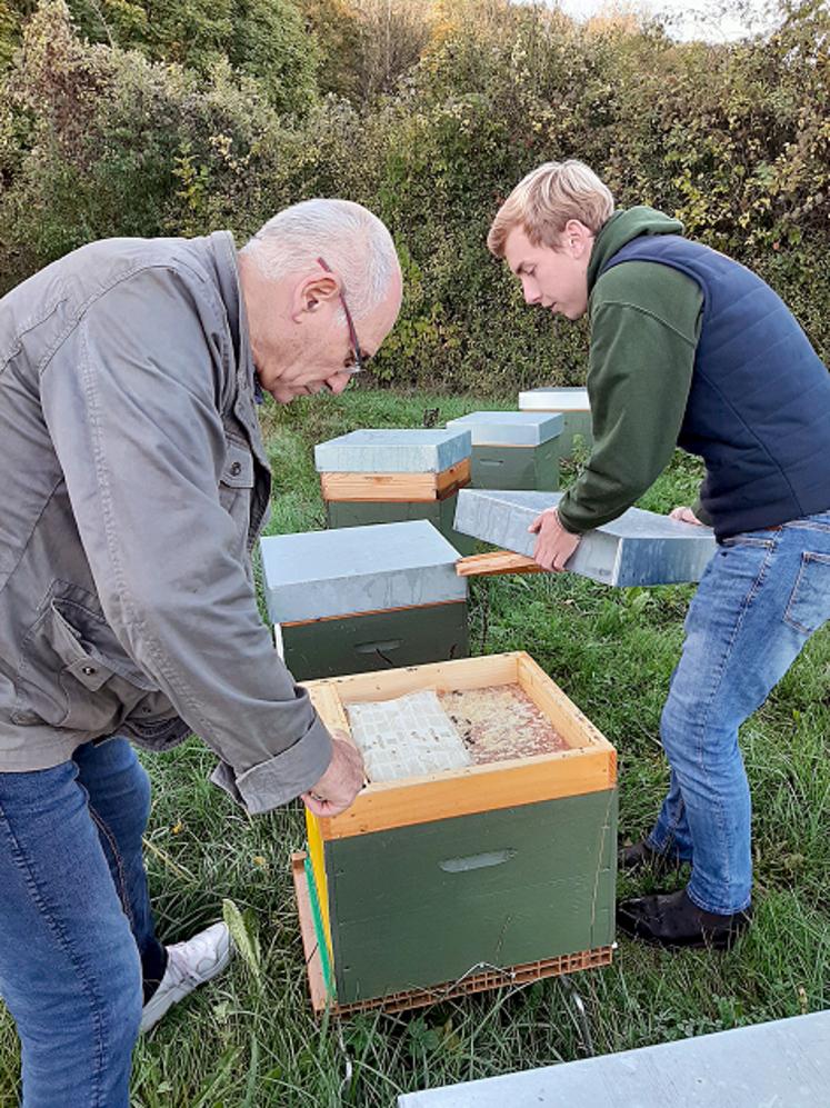 Daniel Boidin (GDSA) et Martin Busschaert (Symbiose) au chevet  de colonies d’abeilles décimées  par le frelon asiatique.