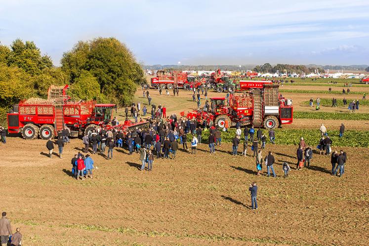 Betteravenir 2023, c’est 40 hectares de surface d’exposition à l’air libre au sein desquels sont réunies les filières betteravières et sucrières française et belge. 