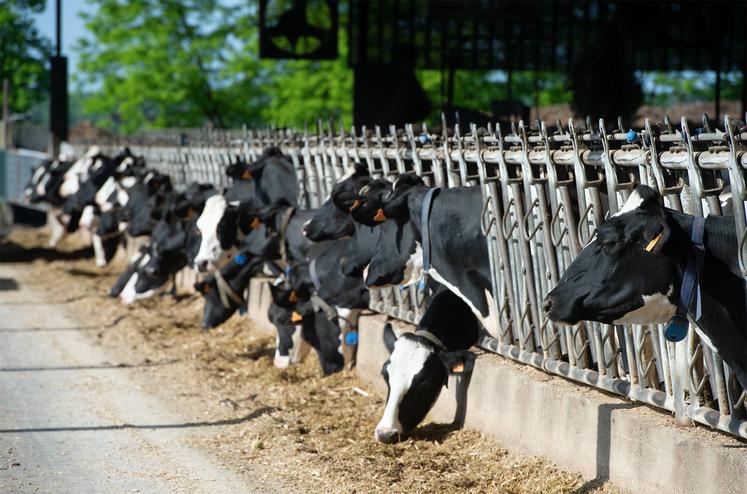 Au sein des catégories de systèmes, on observe des différences significatives de performances. 