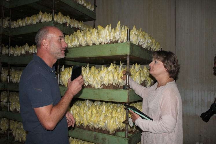 Sur les 300 producteurs de l'association, 95 % sont installés dans les Hauts-de-France. Neuf d'entre eux ont arrêté ces derniers mois, six récoltent pour la dernière année, décompte Philippe Bréhon qui relaie non pas «leur faillite mais leur ras-le-bol».