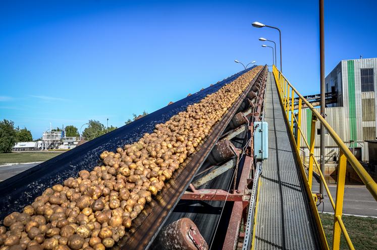 Haussimont fécule pommes de terre Tereos