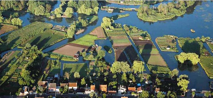 Le ou les preneur(s) des parcelles proposées par Amiens Métropole devront  contribuer à enrichir l’offre sur le territoire amiénois en produits maraîchers. 