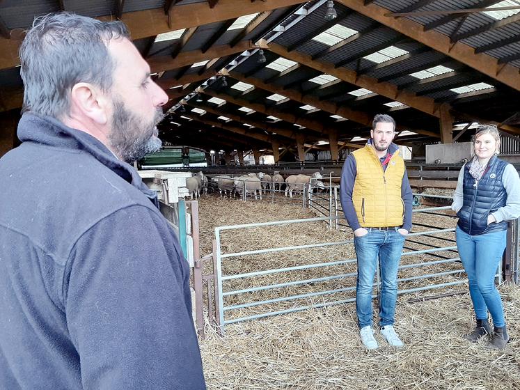 Chez les Drouvin, à Longpré-les-Corps-Saints, 80 % de la production d’agneaux suit le cahier des charges Label Rouge. 