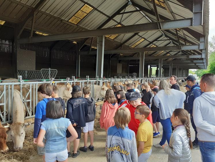 Pendant une semaine, les différents secteurs de la filière viande ouvrent leurs portes au grand public pour leur faire découvrir leurs pratiques. 