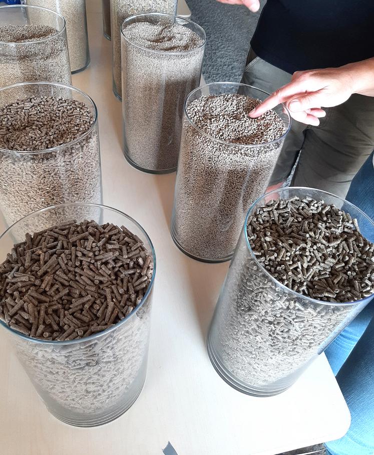 Face à la concurrence, Novial mise sur son savoir-faire et vante un aliment  «qui correspond aux besoins d’une catégorie d’animaux» avec un prix de revient «maîtrisé». 