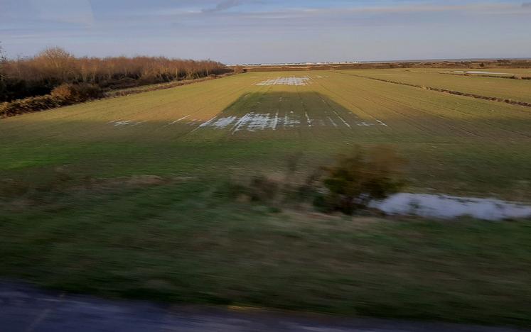 L’inflation des prix du foncier n’épargne pas le secteur des Bas-champs où s’exerce une concurrence entre différents usages. 