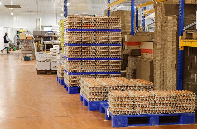 Des centaines de millions d’œufs sont réceptionnés et conditionnés chez Sodine, à Sommepy-Tahure.
