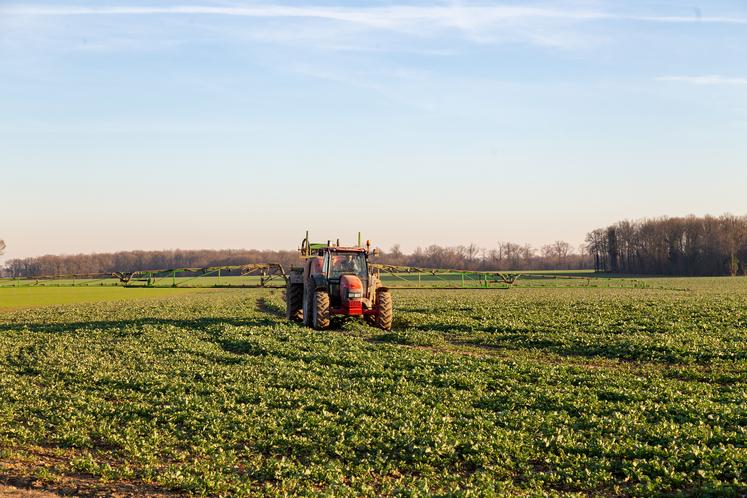L’objectif de réduction de 50 % de l’utilisation des pesticides à l’horizon 2030 est repris avec une période de référence élargie. Un second objectif de réduction de 65 % de l’utilisation des pesticides les plus dangereux pourrait être ajouté. 