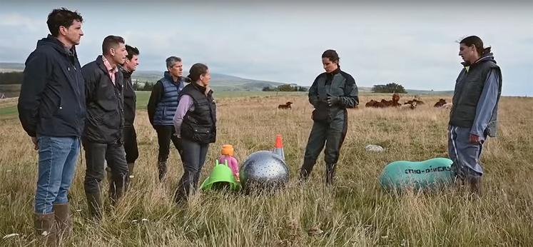 Pauline Garcia, comportementaliste animalier et éleveuse de 110 vaches Salers dans le Cantal.