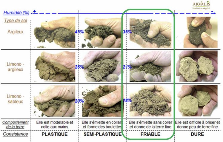 La consistance friable est à rechercher lors des interventions culturales. 