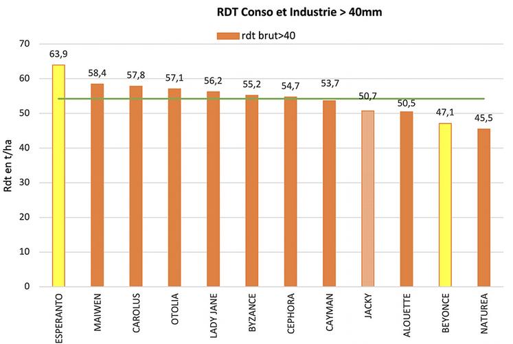 Graphique 3 : Résultats d’essai variétal bio type Consommation et industrie 2022.