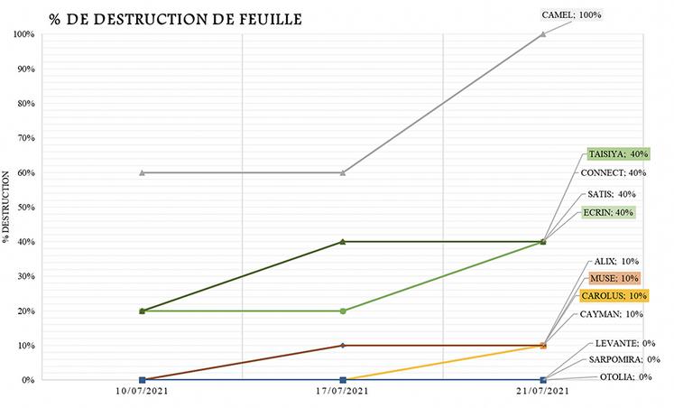 Graphique 2 : Pourcentage de destruction de feuille.