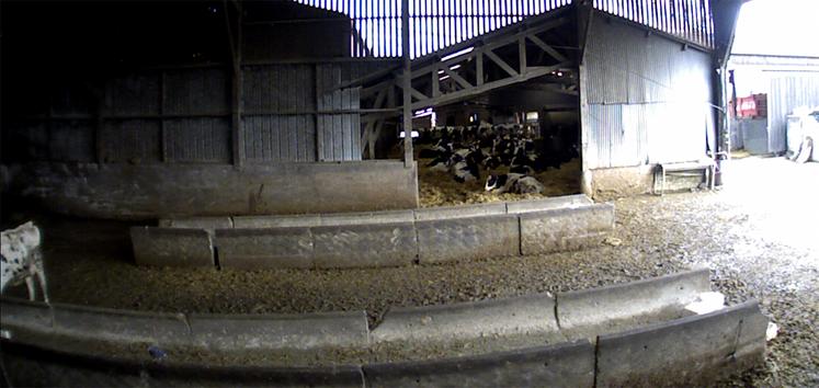 À 15 heures, la ration journalière est entièrement consommée. 