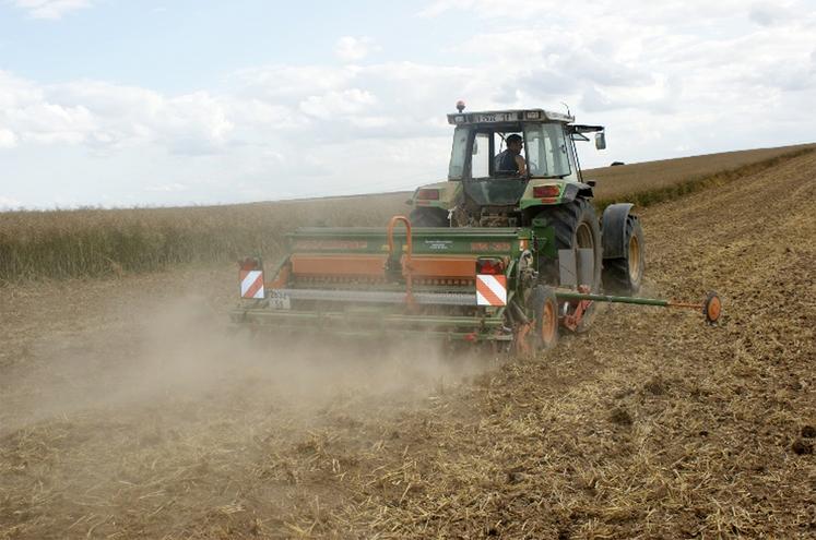 Une attention sera portée au moment du semis, dans certains cas, le labour pourra être privilégié.