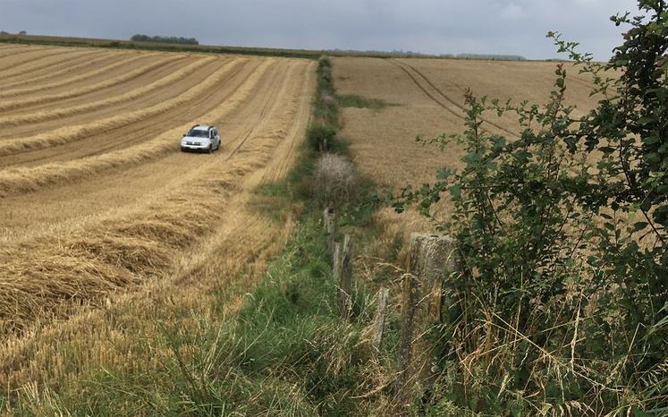 Haie arbustive en grandes cultures sur le pourtour de la parcelle - Dompierre-sur-Authie.