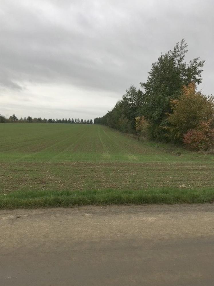 Agroforesterie -  linéaire de haies multistrates intraparcellaires en grandes cultures - Bayonvillers.