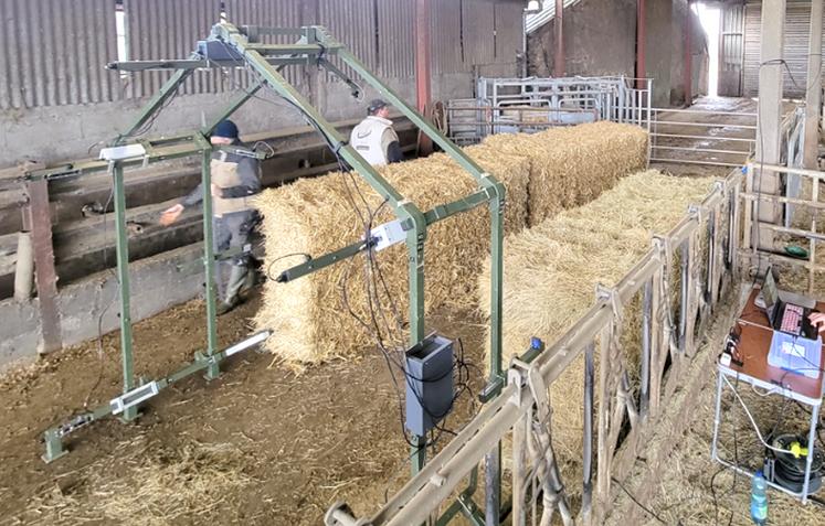 Composé d’un portique, équipé de capteurs, l’imagerie 3D a démontré son potentiel pour le phénotypage des bovins.