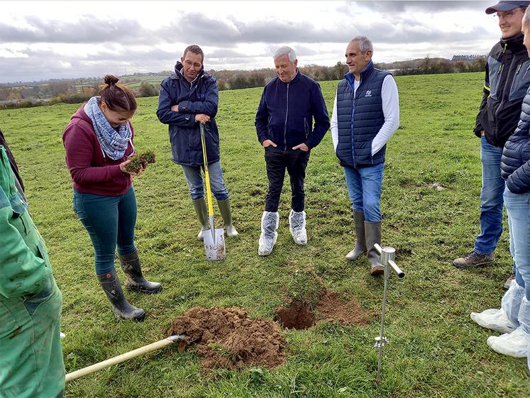 Le test de la bêche donne un aperçu visuel de la structure du sol.