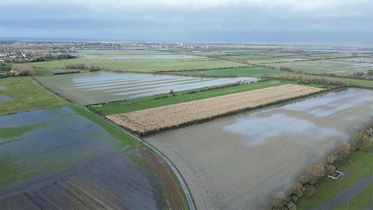 Parcelles inondées en Picardie Maritime, commune de Routhiauville.