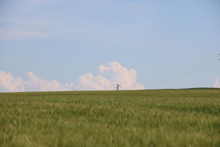 Différents dispositifs de portage de foncier visent à éviter ou à retarder l’acquisition de foncier, et permettre à des agriculteurs de rester plus longtemps locataires. 