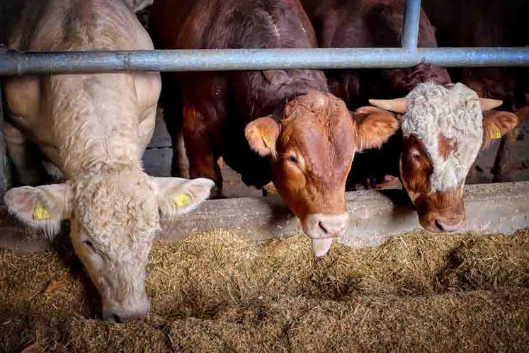 L’objectif était d’accroître les volumes d’importation de produits sensibles,  comme la viande rouge (bovins et ovins). 