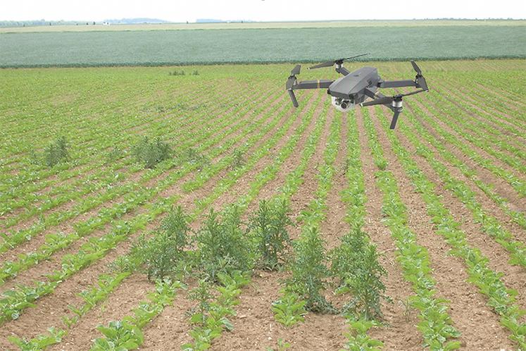 Désherbage ciblé à l’aide d’un drone.