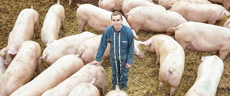 Vingt-cinq éleveurs du Nord et du Pas-de-Calais sont aujourd’hui engagés et commercialisent en circuit court dans des charcuteries de la Région. 