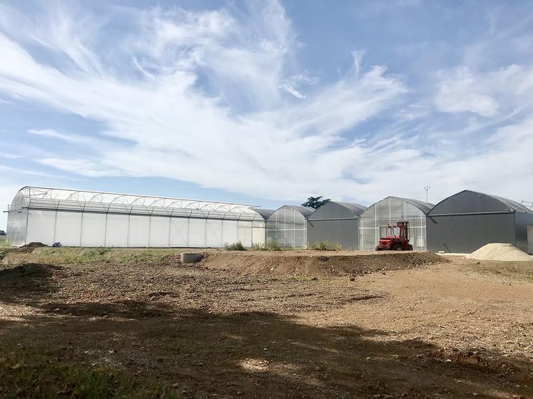 Le pilote de la ferme est, pour l’instant, composé de serres chapelles et d’un bâtiment contenant cinq bassins de poissons. La superficie de la ferme augmentera au fur et à mesure, pour atteindre une taille finale de 5 000 m2.