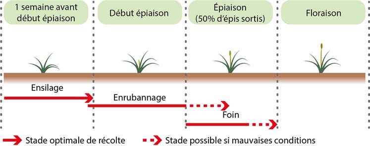 Stades de récolte de l’herbe. 